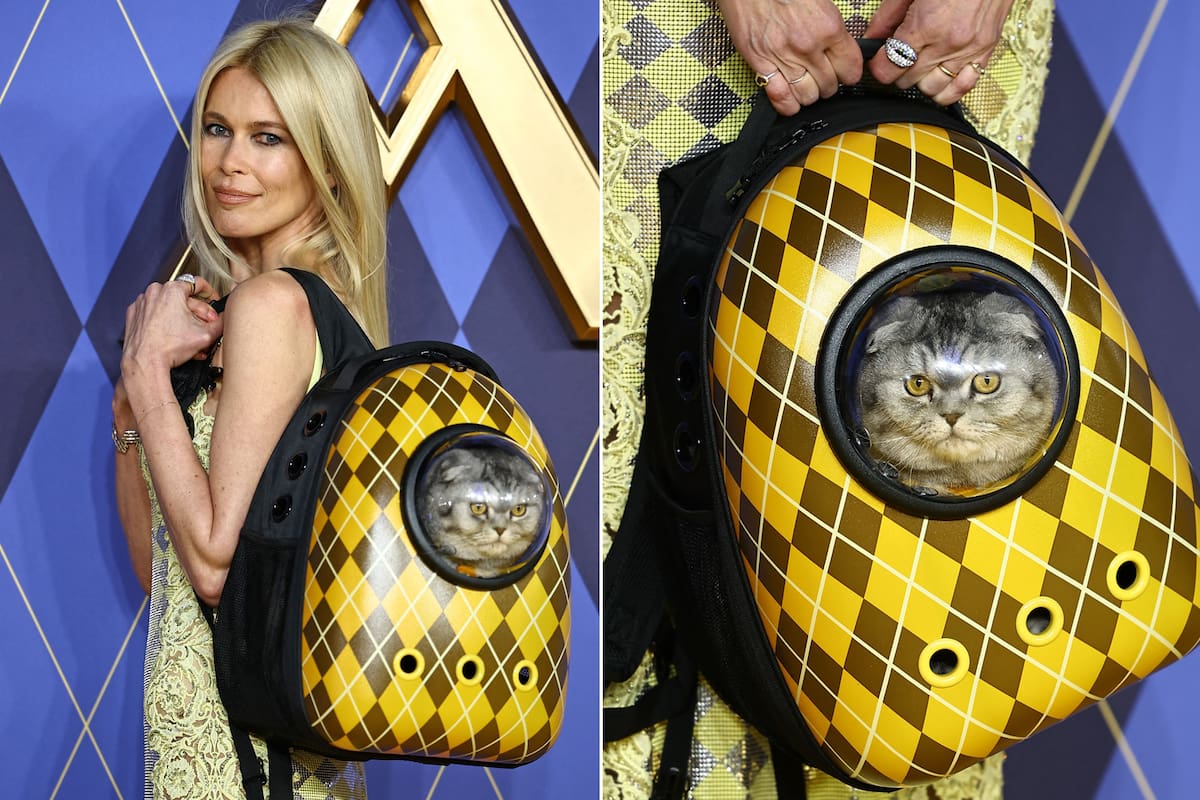 Claudia Schiffer sorprendió al acudir a la avant premier de Argylle: agente secreto
con su gato Chip