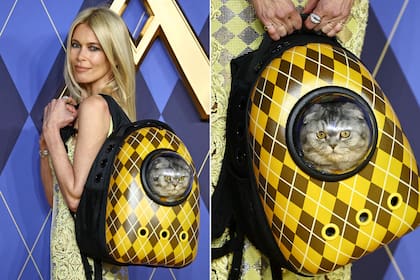 Claudia Schiffer sorprendió al acudir a la avant premier de Argylle: agente secreto
con su gato Chip