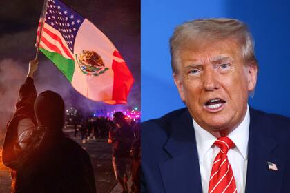 Claudia Sheinbaum informó que al menos 355 mexicanos fueron detenidos por las redadas