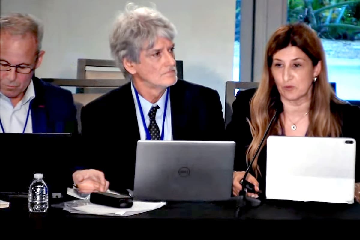 Claudio Jacquelin, Hugo Wortman Jofre y Paula Moreno en la audiencia de la Comisión Interamericana de Derechos Humanos (CIDH) sobre la libertad de prensa en la Argentina
