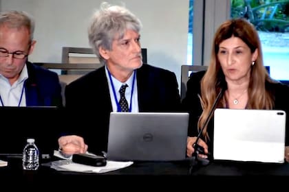 Claudio Jacquelin, Hugo Wortman Jofre y Paula Moreno en la audiencia de la Comisión Interamericana de Derechos Humanos (CIDH) sobre la libertad de prensa en la Argentina