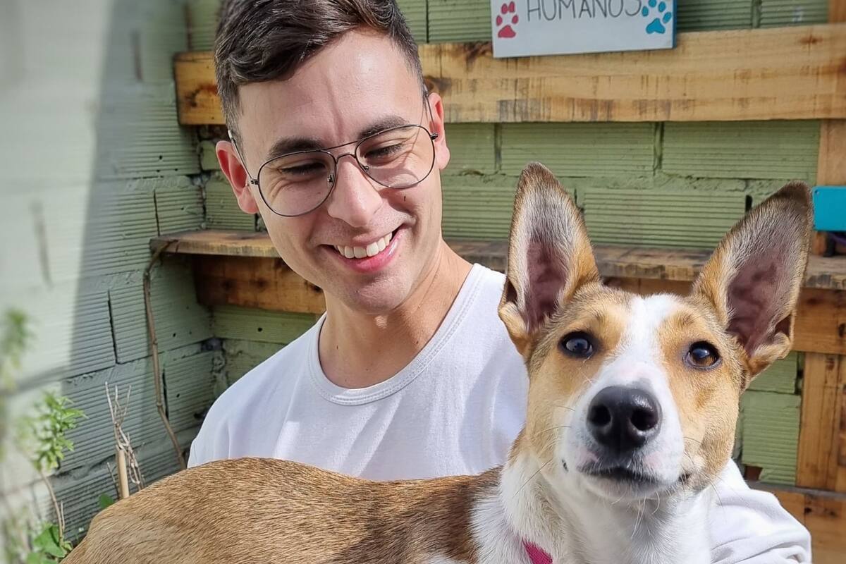 Claudio rescata perros de la calle y decidió construirse una casa pensada para que ellos tengan mayor comodidad