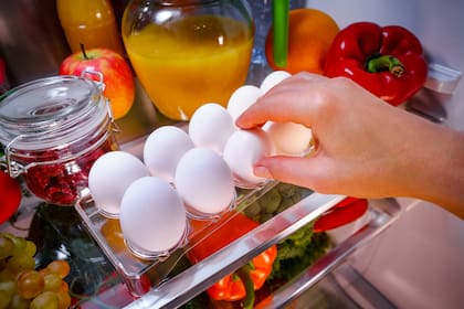 Claves para saber si un alimento se puede comer o ya es hora de descartarlo