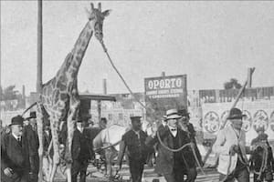 El zoo de don Clemente