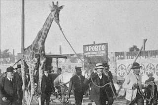 El zoo de don Clemente