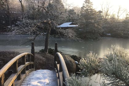 Clima en Chicago, Illinois hoy: cuál es el pronóstico del tiempo para hoy 14 de abril