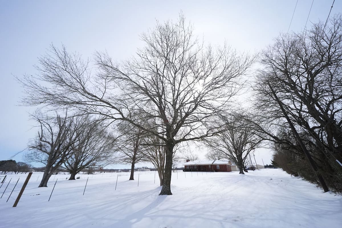 Clima en Dallas, Texas hoy: cuál es el pronóstico del tiempo para hoy 25 de febrero