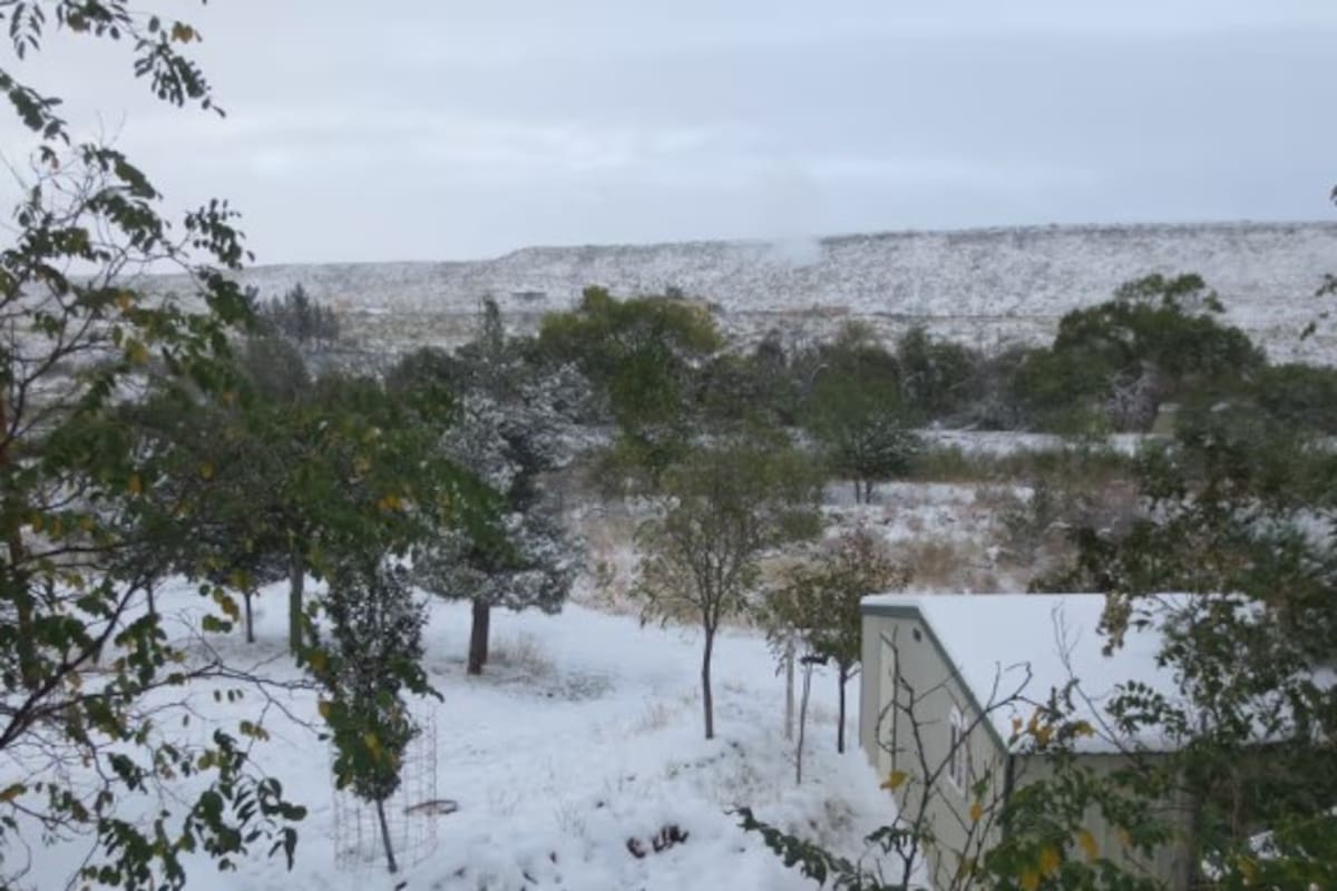 Clima en El Paso, Texas hoy: cuál es el pronóstico del tiempo para hoy 16 de abril