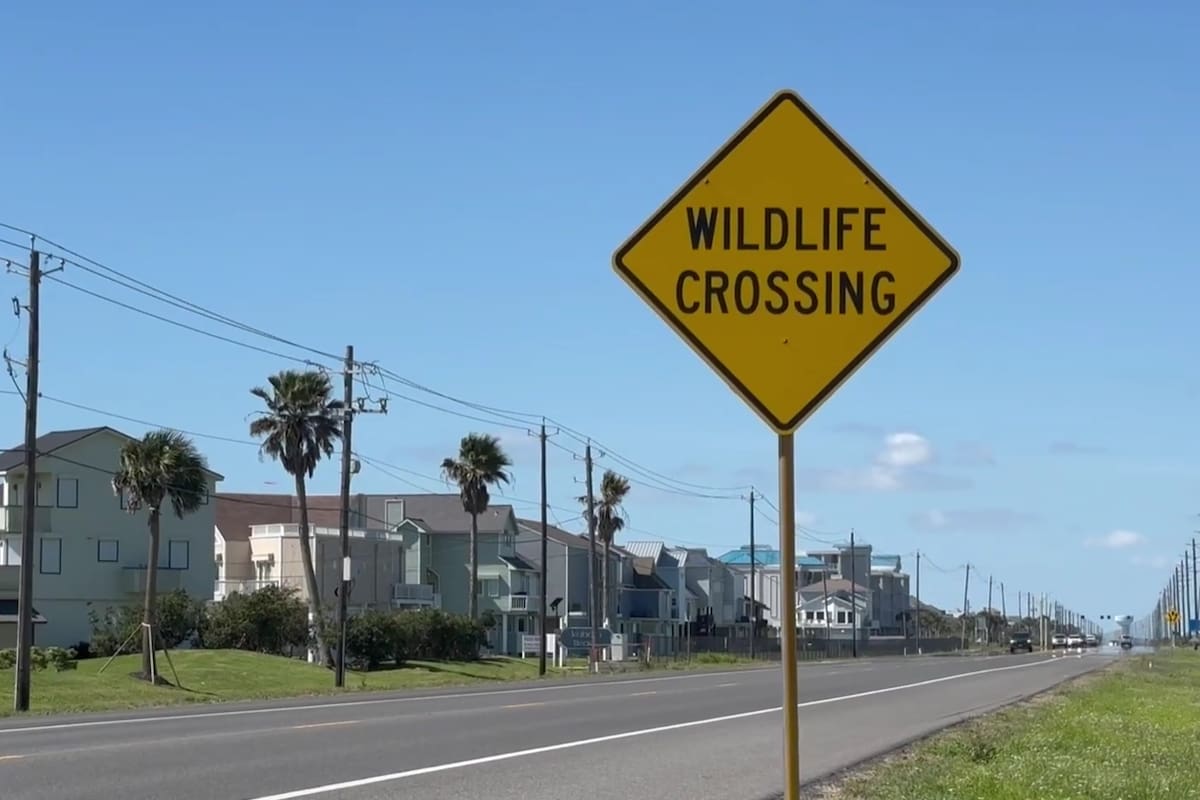Clima en Fort Worth, Texas hoy: cuál es el pronóstico del tiempo para la semana del 20 de abril al 24 de abril