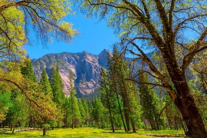 Clima en Los Angeles, California hoy: cuál es el pronóstico del tiempo para hoy 17 de marzo