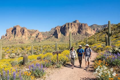 Clima en Phoenix, Arizona hoy: cuál es el pronóstico del tiempo para hoy 14 de marzo