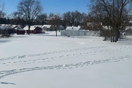Clima en Phoenix, Arizona hoy: cuál es el pronóstico del tiempo para hoy 17 de marzo