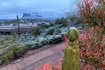 Clima en Phoenix, Arizona hoy: cuál es el pronóstico del tiempo para hoy 11 de abril