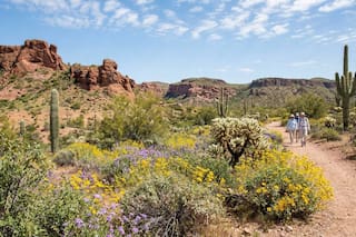 Clima en Phoenix, Arizona hoy: cuál es el pronóstico del tiempo para hoy 11 de junio