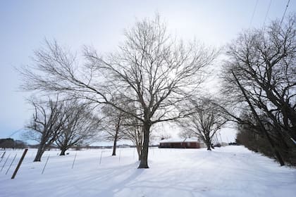 Clima en San Antonio, Texas hoy: cuál es el pronóstico del tiempo para hoy 4 de marzo