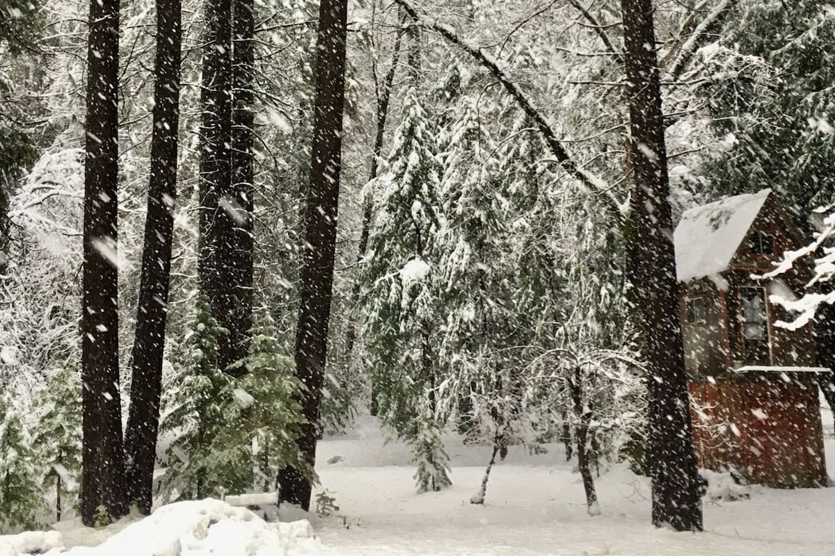 Clima en San Francisco, California hoy: cuál es el pronóstico del tiempo para la semana del 2 de marzo al 6 de marzo