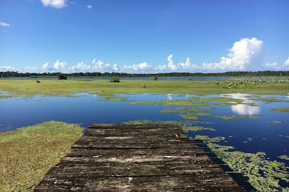 Clima en Tampa, Florida hoy: cuál es el pronóstico del tiempo para hoy 14 de marzo