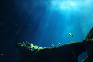 Clima: Récord histórico de temperatura en los mares europeos