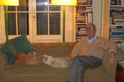 Clorindo y sus gatos