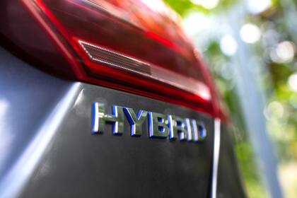 Los autos híbridos siguen creciendo en el mercado local