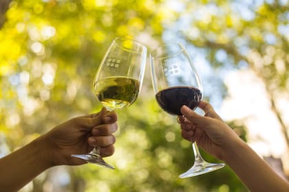 Club Bonvivir festeja nueve años ininterrumpidos compartiendo los mejores vinos argentinos y los enólogos más importante del país cuentan el secreto de este éxito.