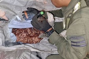 Cobre y bronce incautado por Gendarmería