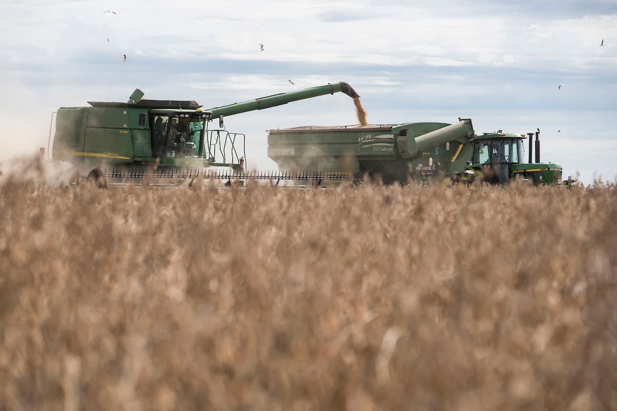Cocecha de soja de segunda zona de Monte Buey Cordoba