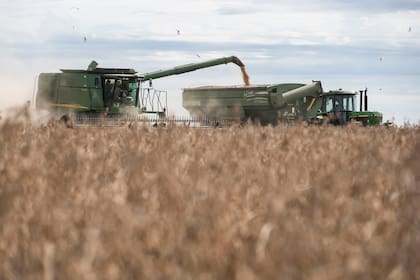 Cocecha de soja de segunda zona de Monte Buey Cordoba