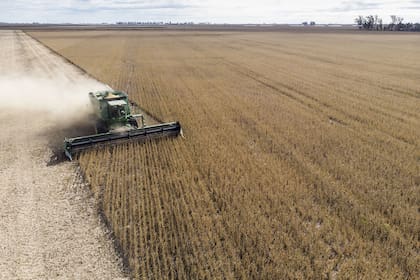 La cosecha de soja argentina progresó sobre el 89,9% del área apta, según informó la Bolsa de Cereales de Buenos Aires