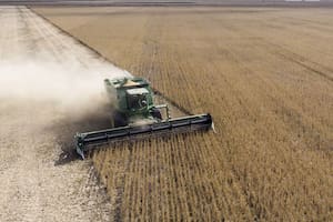 La soja sumará 240.000 hectáreas tras la peor caída en 19 años en la principal región del país