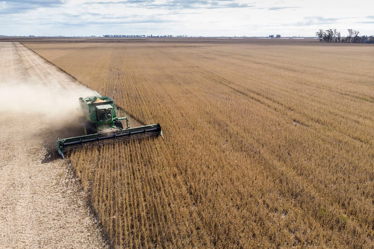 Cocecha de soja de segunda zona de Monte Buey Cordoba 30-04-20