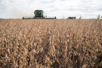 Demoras en la cosecha estadounidense le permitieron un repunte a los precios de la soja