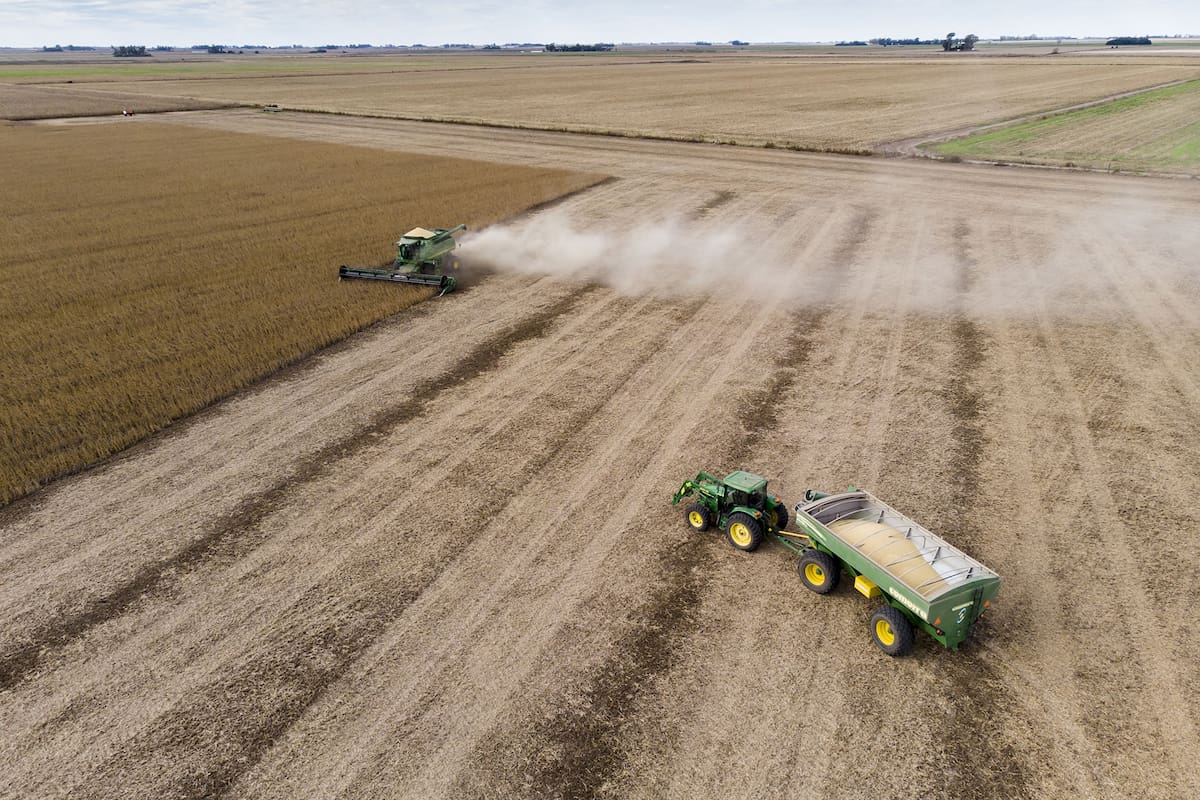 Cocecha de soja de segunda zona de Monte Buey Cordoba
30-04-20
Foto: Marcelo Maner