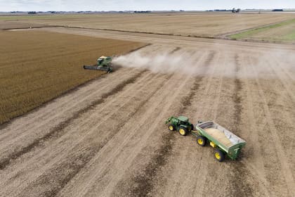 El USDA redujo de 51 a 49,50 millones de toneladas su estimación sobre la cosecha argentina