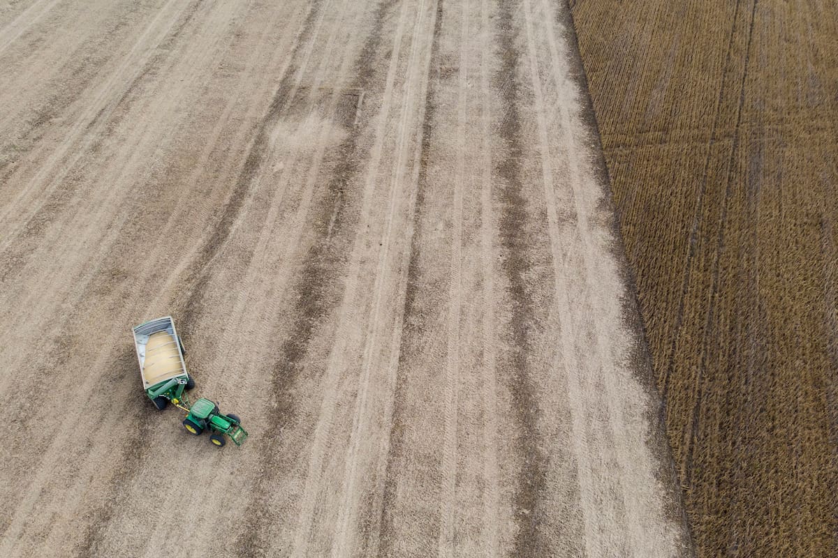 Cocecha de soja de segunda zona de Monte Buey Cordoba
30-04-20
Foto: Marcelo Manera