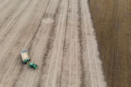 Cocecha de soja de segunda zona de Monte Buey Cordoba
30-04-20
Foto: Marcelo Manera