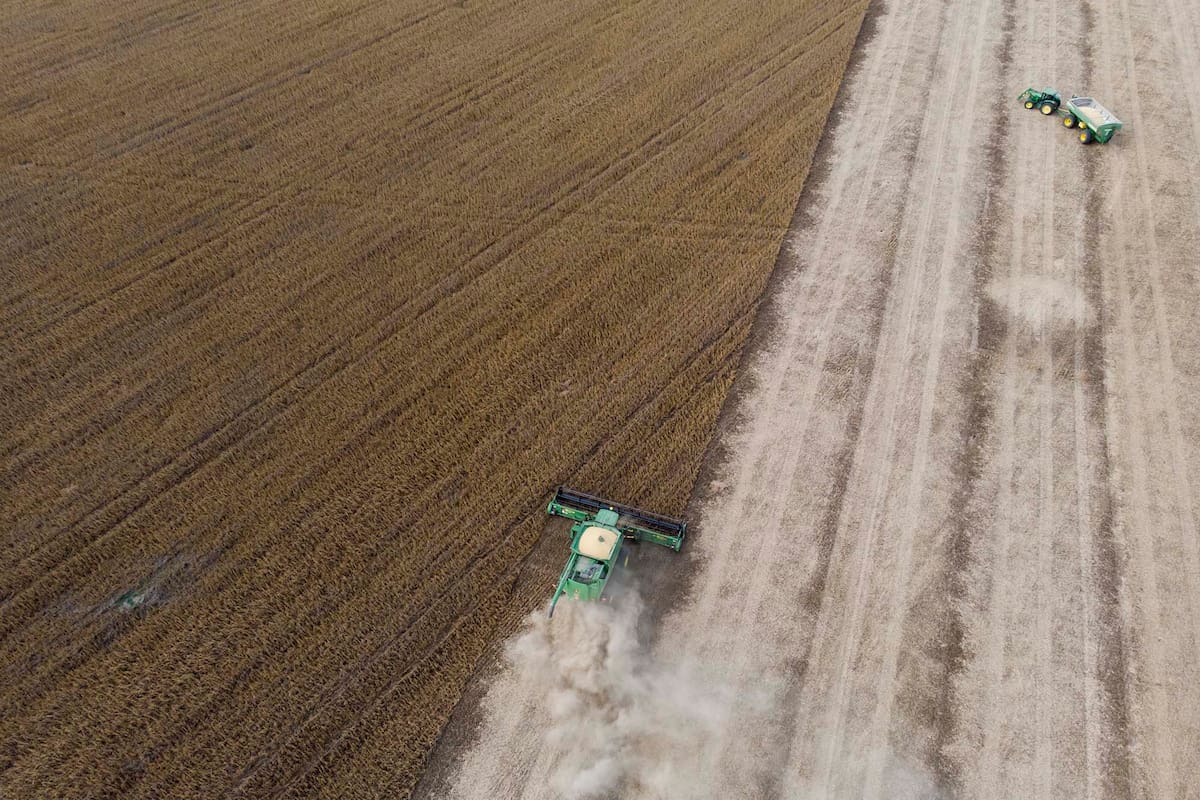 Cocecha de soja de segunda zona de Monte Buey Cordoba
30-04-20
Foto: Marcelo Manera