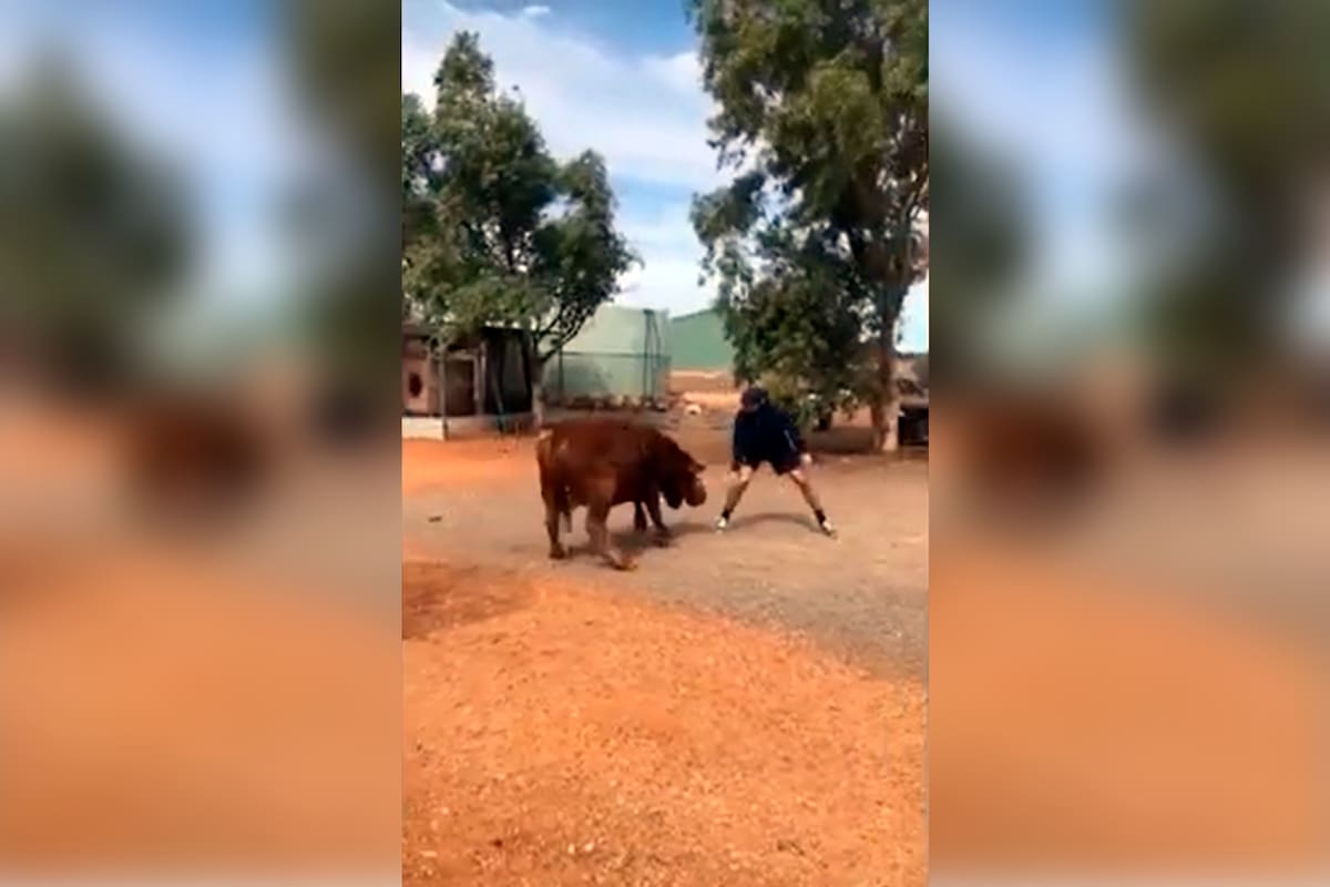 Coco y su destreza en el básquet son sensación en Internet