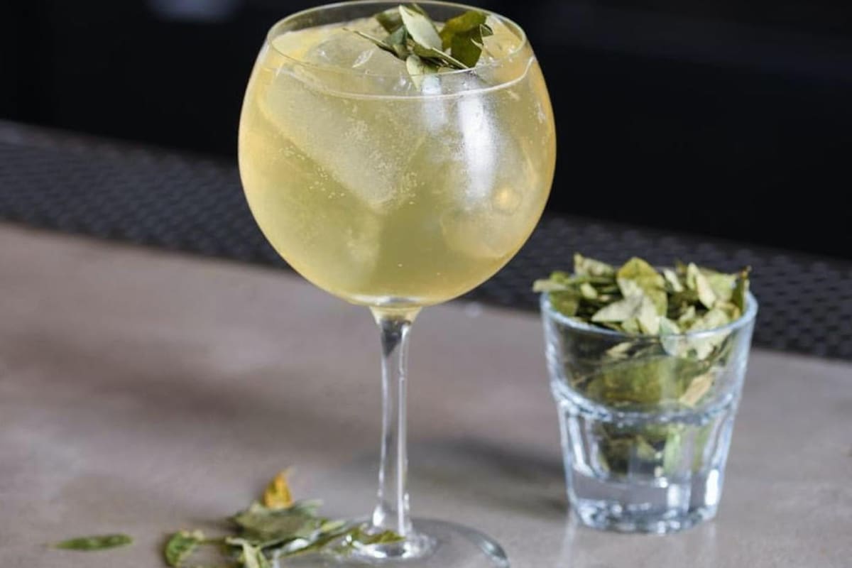 Cocteles con Yerba Mate, recetas y tips de los mejores barman