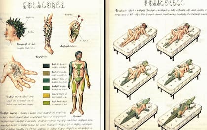 Codex Seraphinianuns (1993), un libro escrito en un alfabeto inexistente que reseña un compendio de zoología, botánica y etnografía de un lugar, planeta o dimensión desconocida