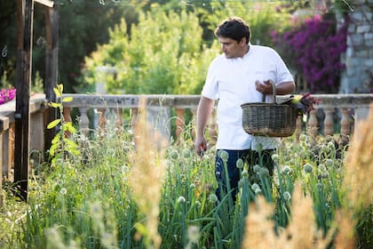 Colagreco cultiva sus propias verduras