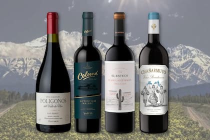 Colección Especial BONVIVIR - Vinos de Altura.