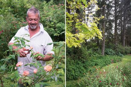 Colecciones de rosas y muchas otras especies componen la sinfonía de este jardín, en el que el amor por las plantas y la experimentación marcan su caracter natural.