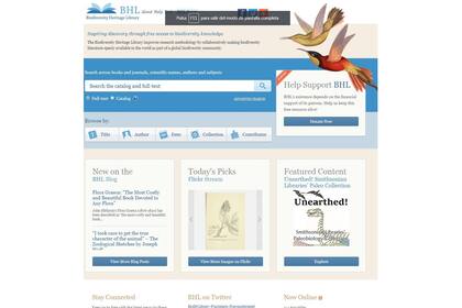 Colecciones llenas de vida