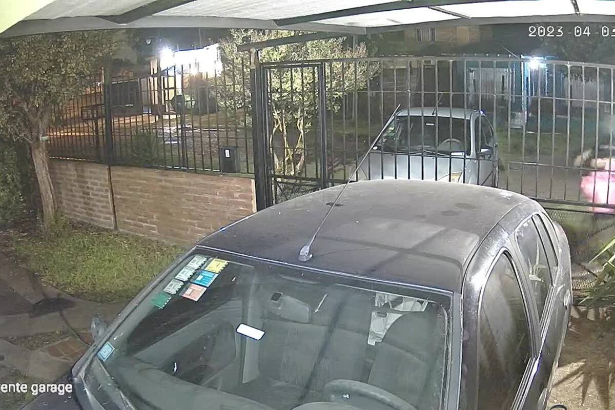 Colectivero asesinado: el interminable tiroteo que se produjo durante la huida de los delicuentes.