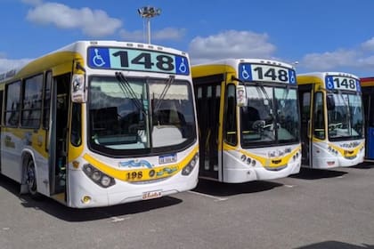Colectivos de la línea 148