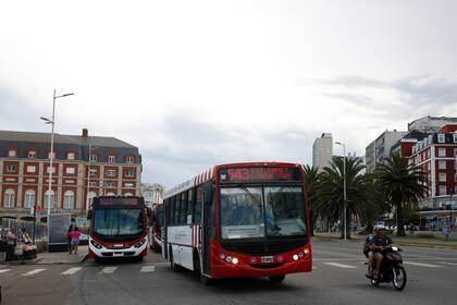 Colectivos en Mar del Plata, una de las ciudades en alerta por el recorte de los subsidios al transporte