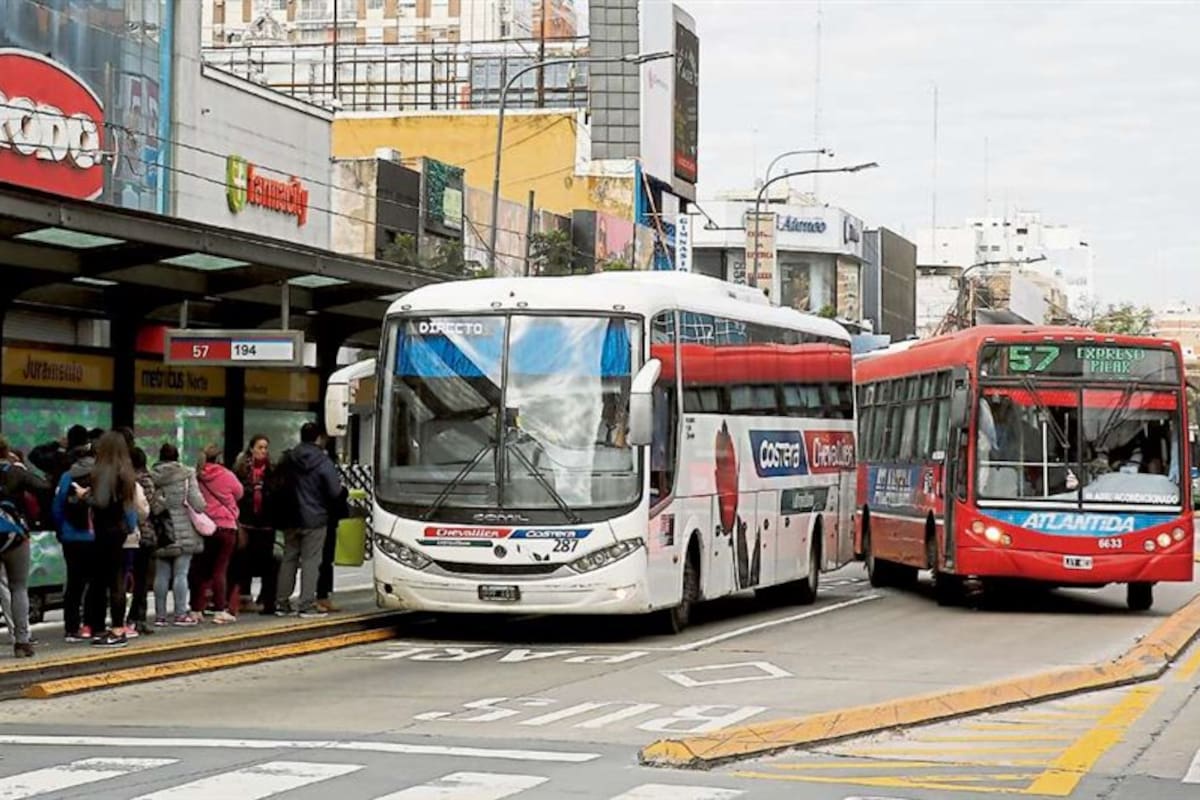 Colectivos y combis, en la mira
