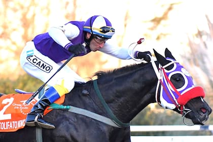 Colifato Novo llega invicto a la Polla de Potrillos, con Joaquín Cano en un doble rol: jockey y entrenador