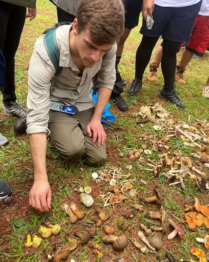 Colin Domnauer encontró en Filipinas setas que tenían un aspecto diferente pero que pertenecían a la misma especie que la L. asiatica de China